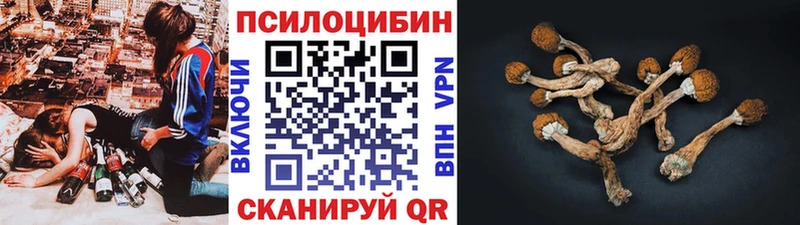 Галлюциногенные грибы Magic Shrooms  KRAKEN зеркало  Александров 